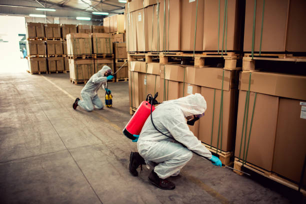 Reliable Taylor, AL Pest Control Solutions