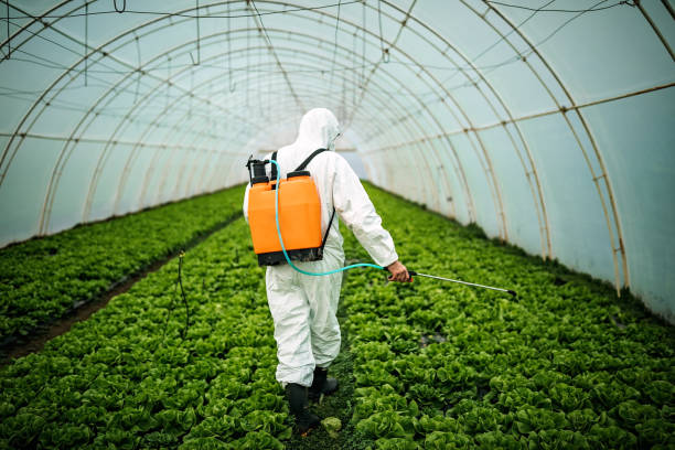 Best Pest Prevention Services  in Taylor, AL