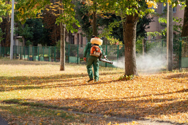Pest Prevention Services in Taylor, AL