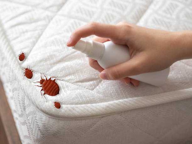Best Commercial Pest Control Services  in Taylor, AL