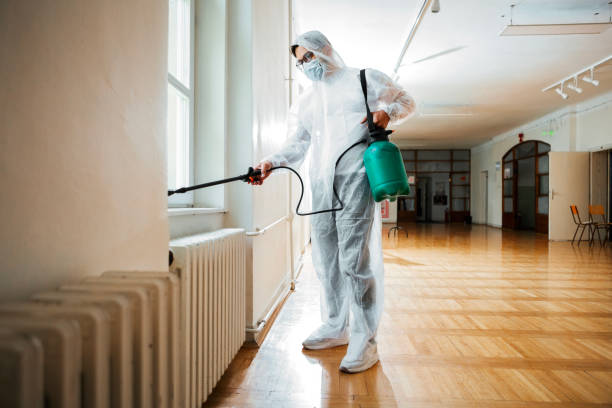 Best Flea Control Services  in Taylor, AL
