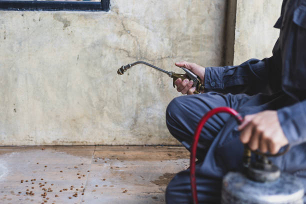 Best Affordable Pest Control Services  in Taylor, AL